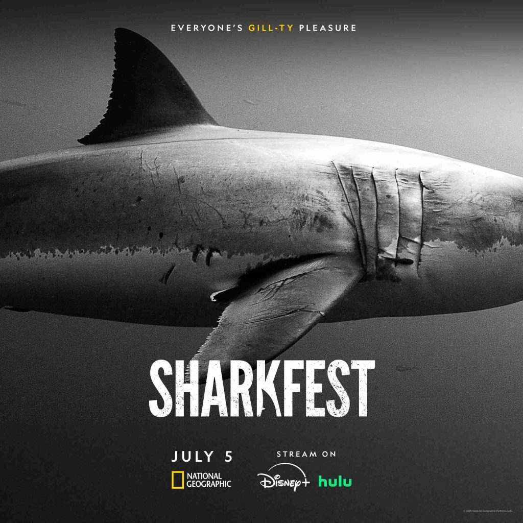 SHARKS UP CLOSE WITH BERTIE GREGORY Brand New Special For Nat Geo(02)